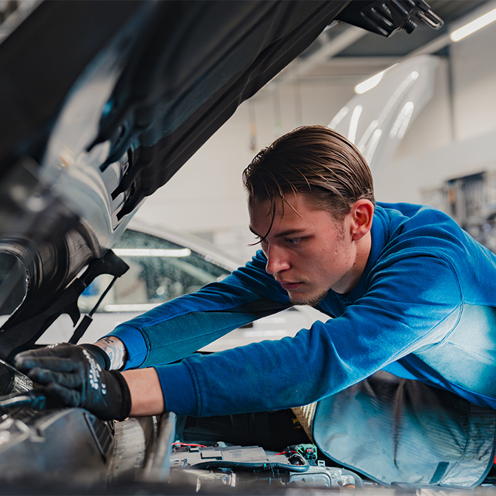 BBL bij Nieuwenhuijse